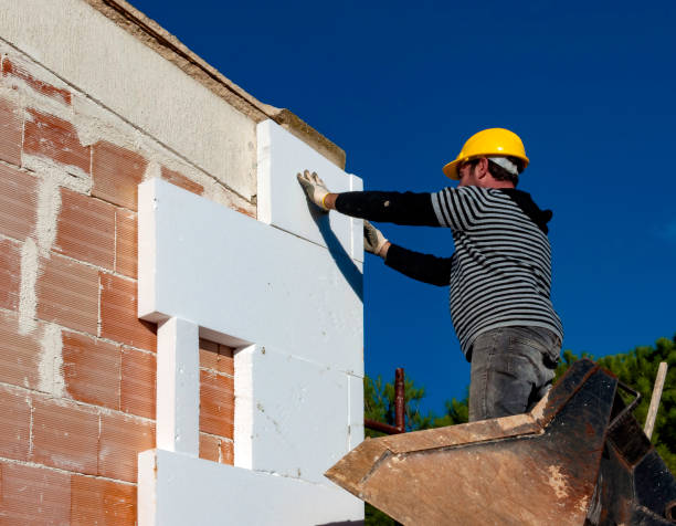 Best Insulation Installation Services in Pascagoula, MS