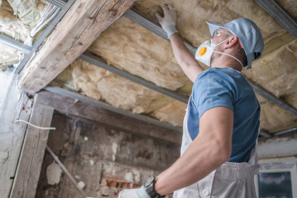 Best Insulation for Specific Applications in Pascagoula, MS